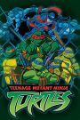 Teenage Mutant Ninja Turtles 2003 Season 6