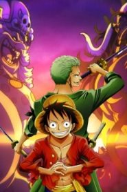 One Piece Season 11 (Dub)